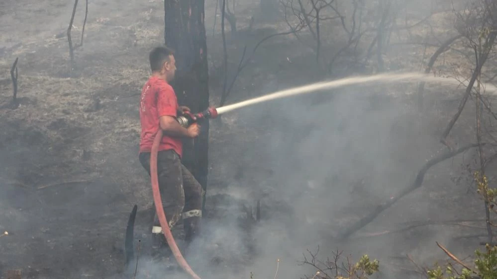 Bursa Mudanya'da çıkan orman yangınından en özel fotoğraflar 