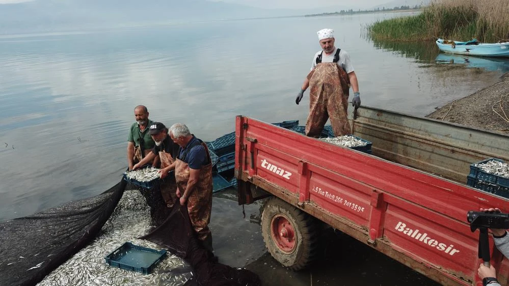 İznik Gölü'nde tutulup Yunanistan, Ukrayna ve Amerika'ya ihraç ediliyor