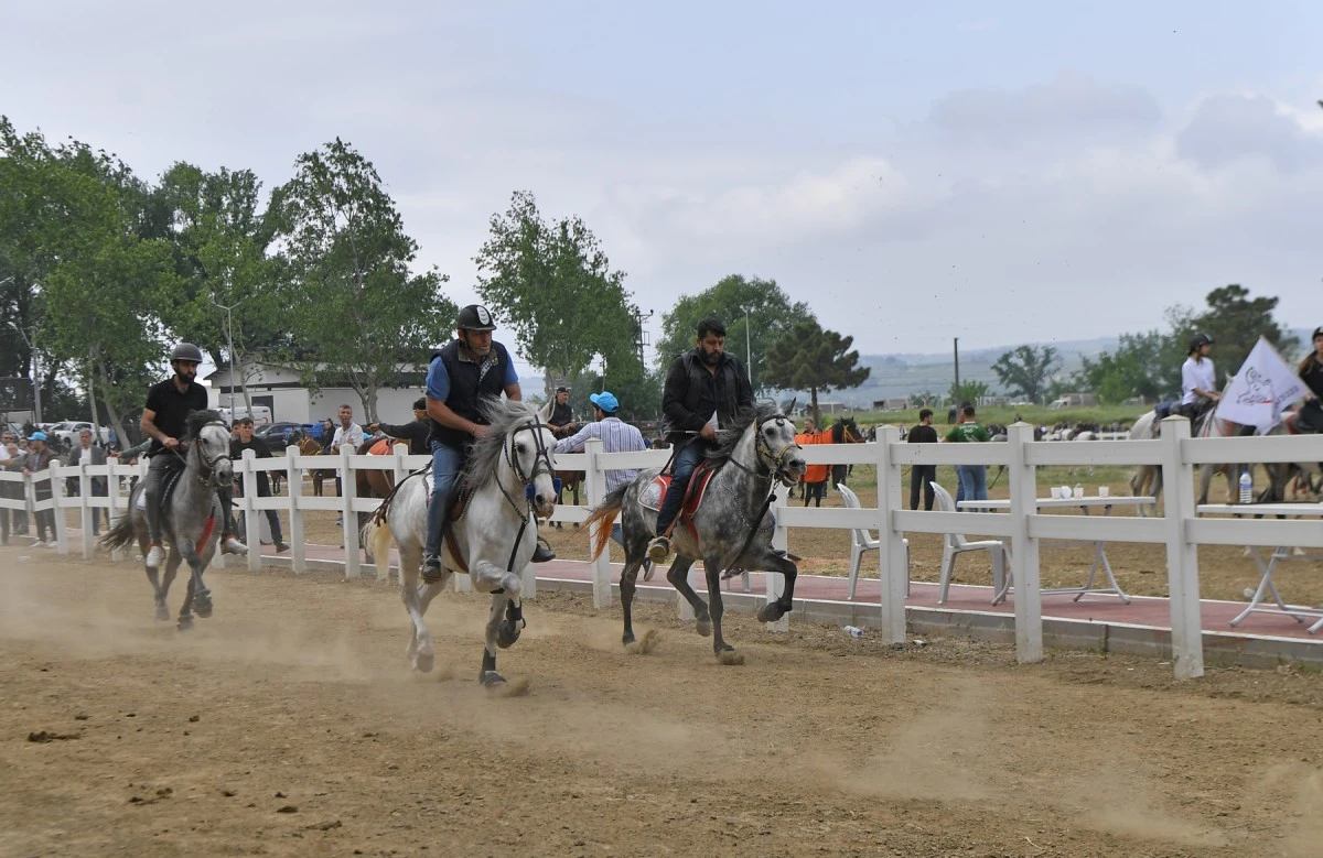 Bursa Osmangazi Belediyesi'nin düzenlediği Rahvan At Yarışları'nda büyük heyecan