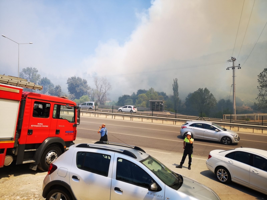 Bursa Mudanya'da yangın