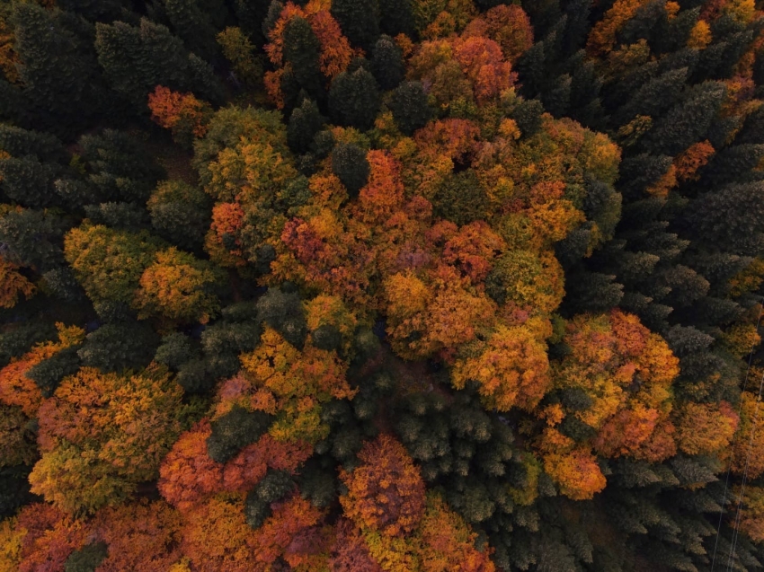 Uludağ’da sonbahar güzelliği
