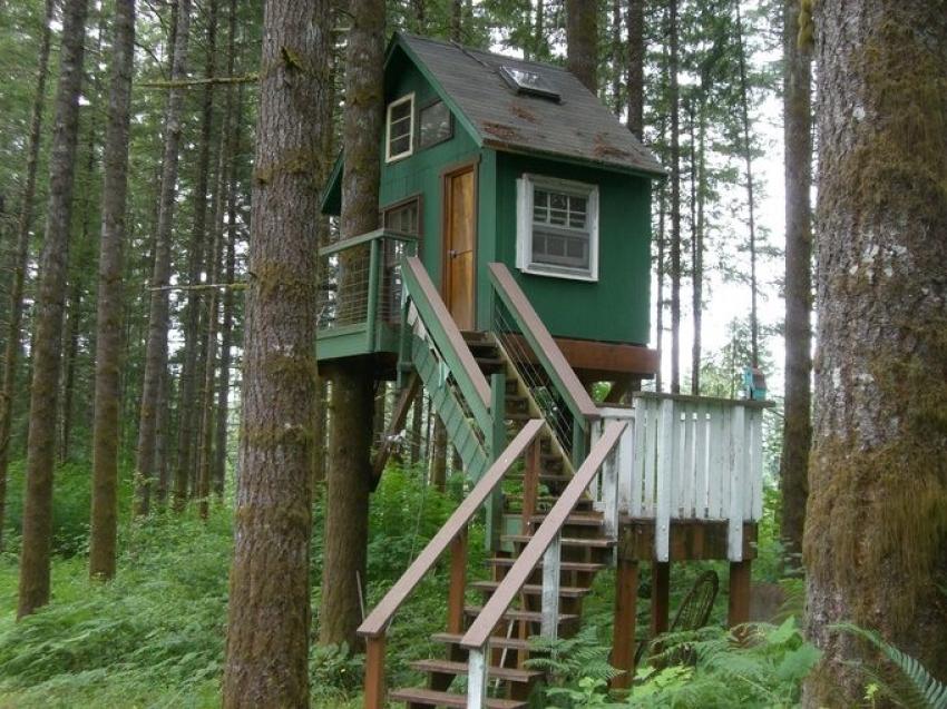 Doğayla iç içe bir ağaç evde yaşamak ister miydiniz?