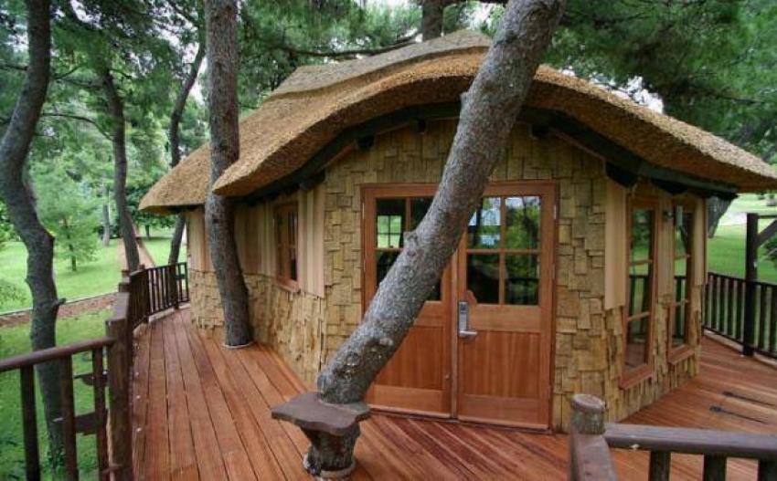 Doğayla iç içe bir ağaç evde yaşamak ister miydiniz?
