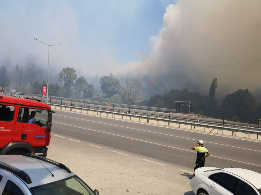 Bursa Mudanya'da yangın