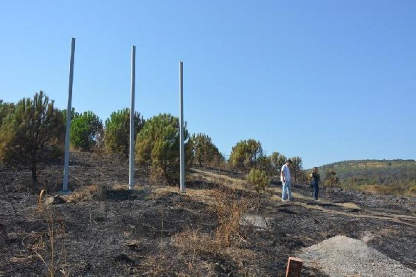 Bursa'da 5 hektar çam ormanı böyle yandı