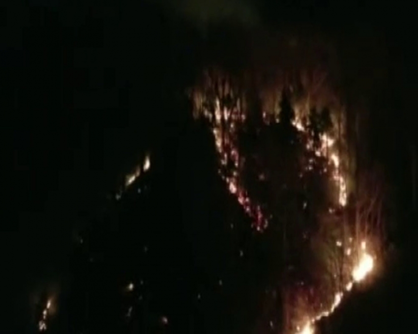 Trabzon’da orman yangını