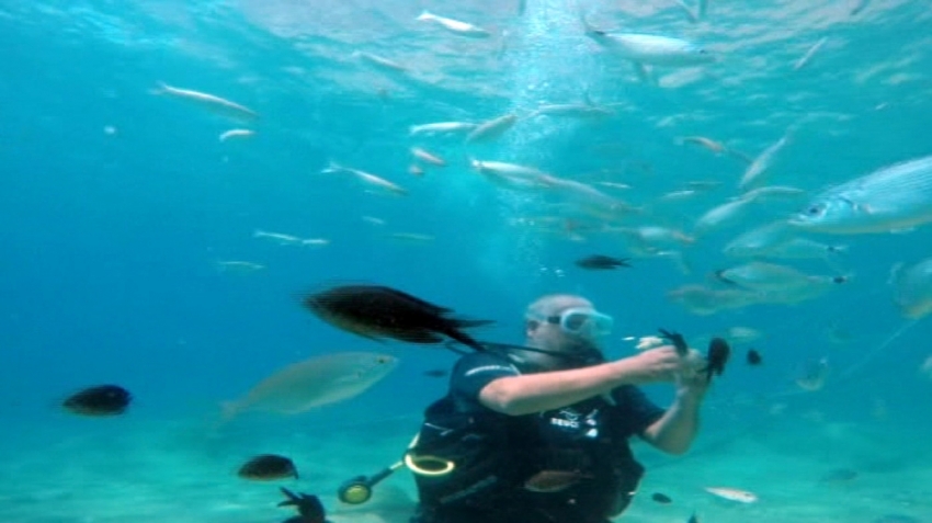 Turistlerin yeni gözdesi su altında ekmekle balık beslemek