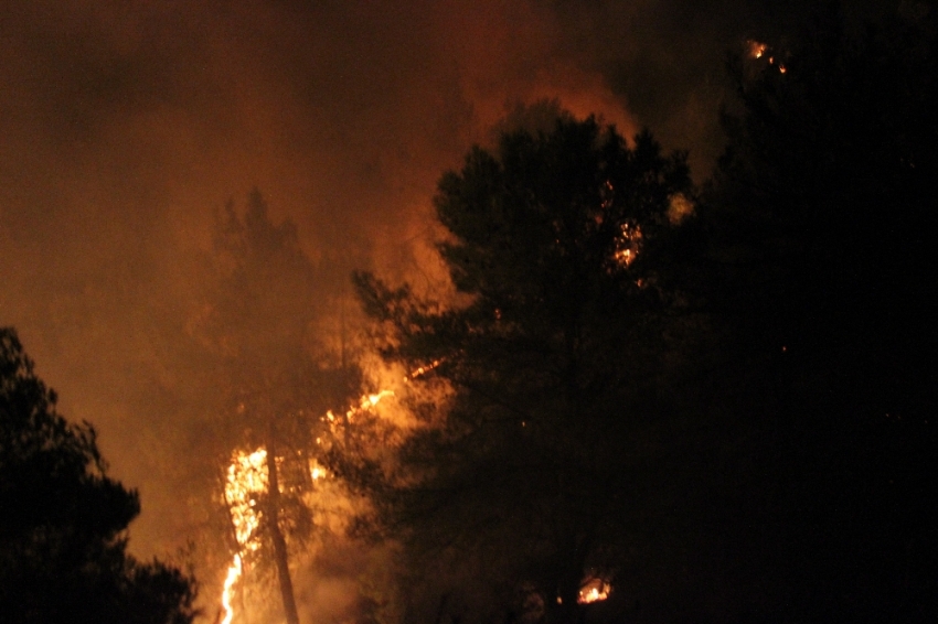 Hatay’da 25 farklı noktada orman yangını