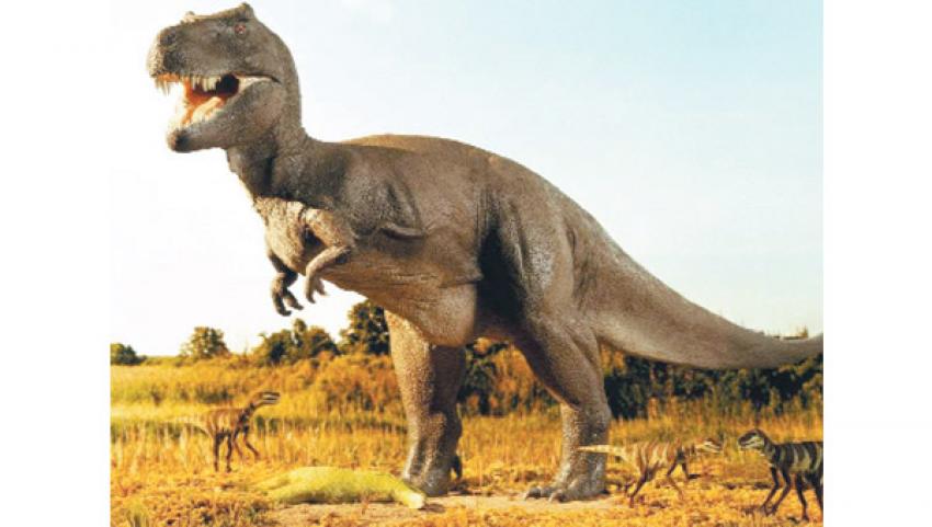 Dinozor fosilinden bakın ne çıktı
