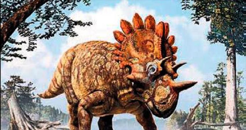 Yeni dinozor türü: Regaliceratops