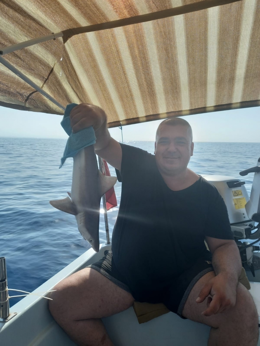 Balıkçı ağına takılan yavru köpek balığı 