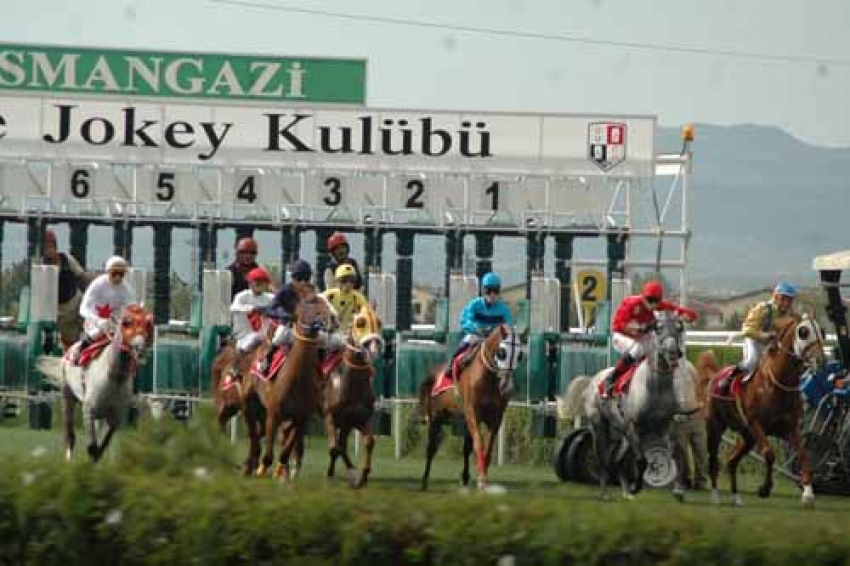 Bursa'da yetiştirilen 82 Arap atı...