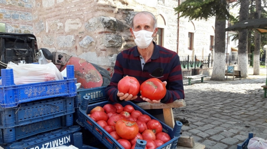 Bursa’da rekor kıran domates