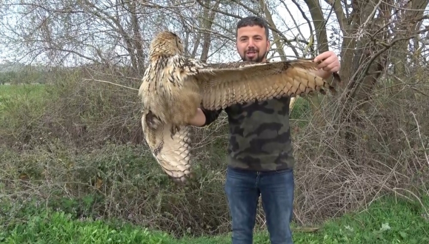 Bursa nadir görülen yırtıcı kuşu ölümden kurtardı