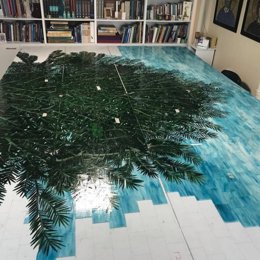 Dünyanın en yaşlı porsuk ağacı Gümeli Porsuğu 4115 yaşında