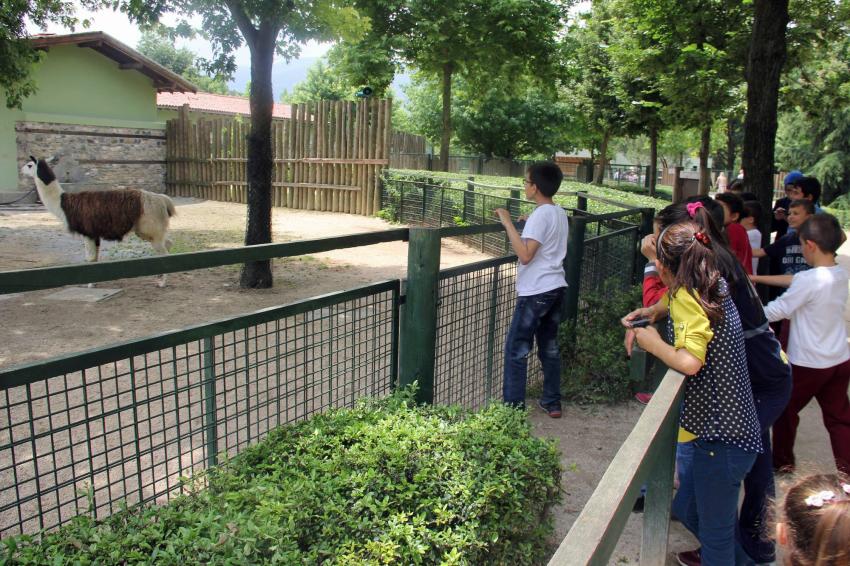 Bursa Hayvanat Bahçesi'ne ziyaretçi akını