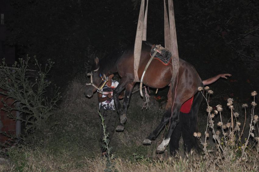 Bursa’da iki ayrı çukura düşen atı böyle kurtardılar