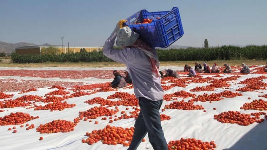 Bursa'ya gelecek mevsimlik işçiler hakkında açıklama