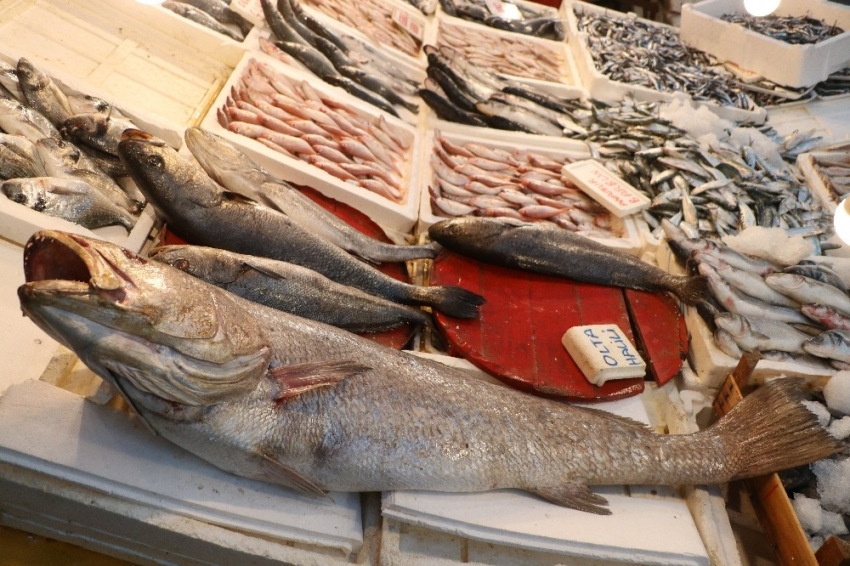 45 kilogramlık halili balığı yakalandı