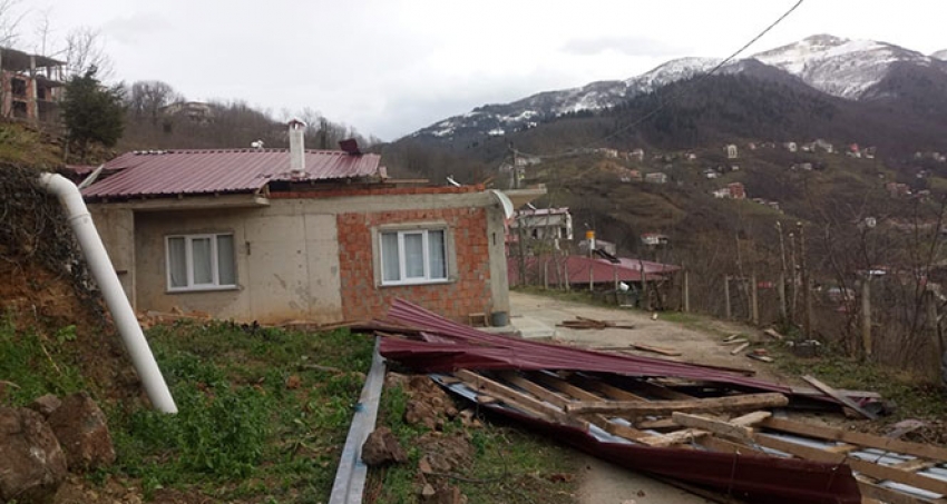 Trabzon'da fırtına 200 konut ve 4 kamu binasına zarar verdi