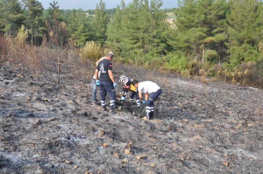 Osmaniye’de çıkan orman yangınında bir kişi yanarak öldü