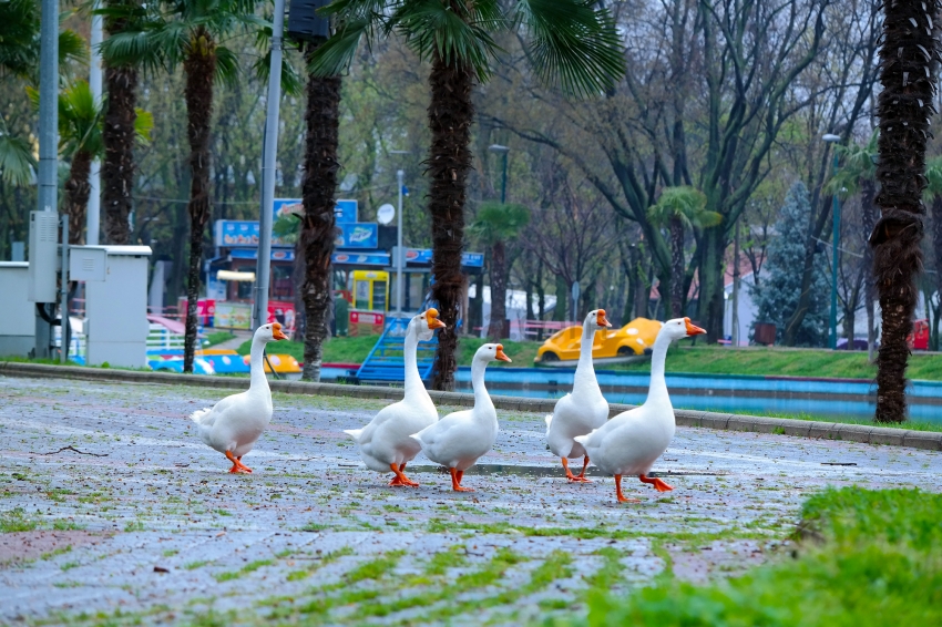 Bursa’da parklar sağlık için kapatıldı