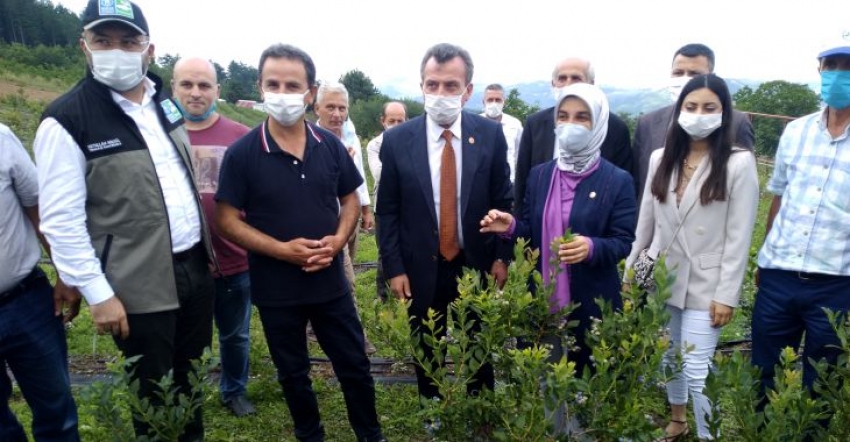 Bursa Büyükşehir'den kırsal kalkınma hedefi