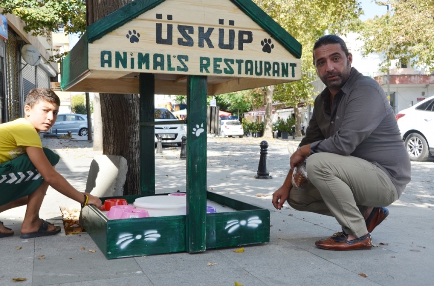 Bu mini restoran sokak hayvanları için