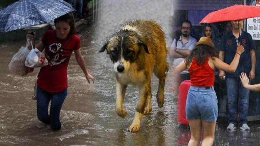 Yaz yağmuru Türkiye'yi felç etti