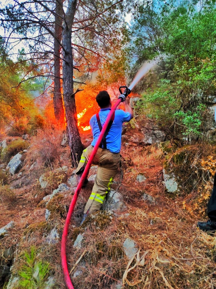 Bursa Büyükşehir'den yangın bölgesine takviye