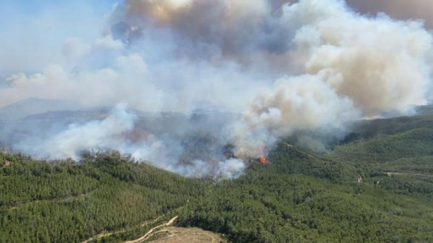 Manavgat'taki orman yangınında kundaklama şüphesi hakkında açıklama