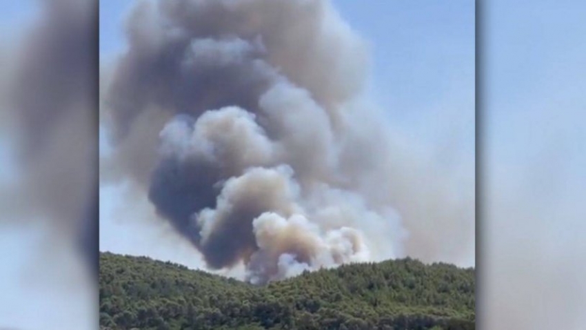 Bodrum'da da yangın başladı! Alevler yerleşim noktasına yakın...