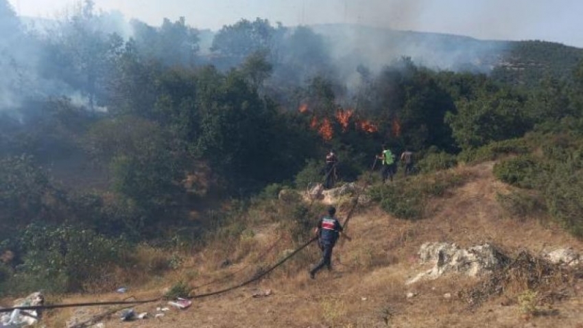 Balıkesir'de orman yangını!