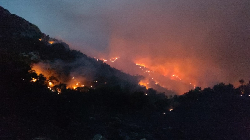 Datça’daki orman yangınında çalışmalar gece de devam ediyor