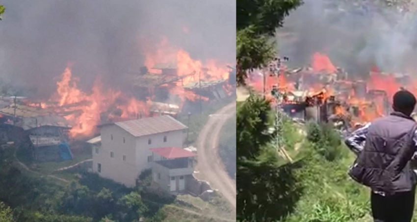 Artvin'de bir köy yanıyor! Evler küle döndü