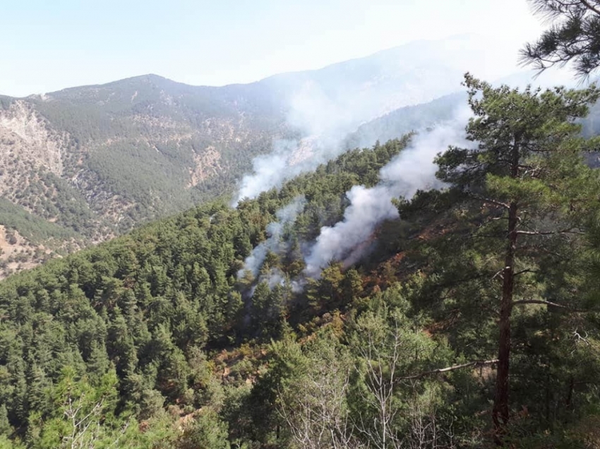Teröristlerin çıkardığı orman yangını söndürüldü
