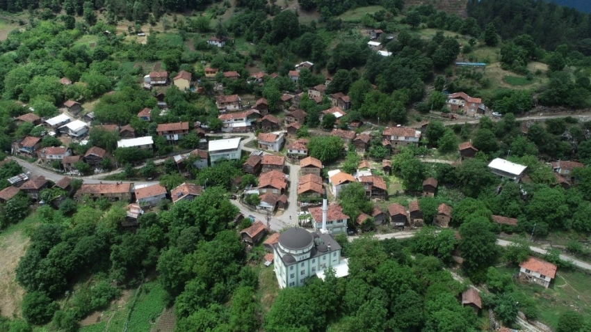 Bursa'nın örnek köyü!