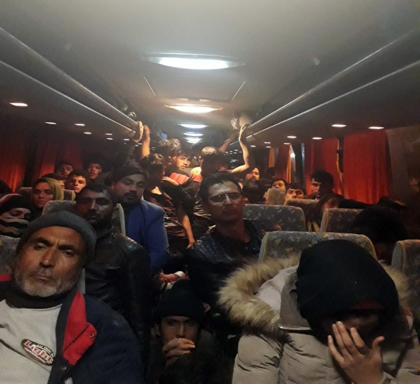 294 kaçak göçmen yakalandı