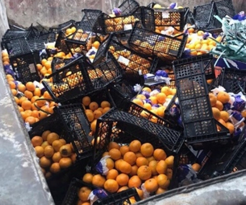 İstanbul’dan Rusya’ya gönderilen mandalinalar yanlış etiket kurbanı oldu