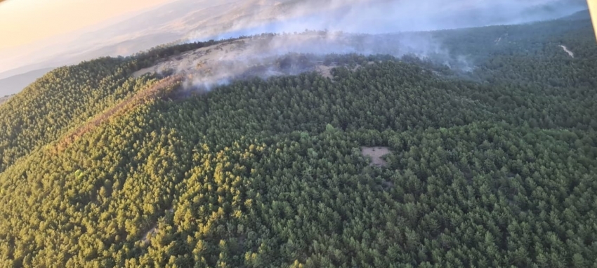 Yangında 10 hektarlık meşe ve karaçam ormanı zarar gördü