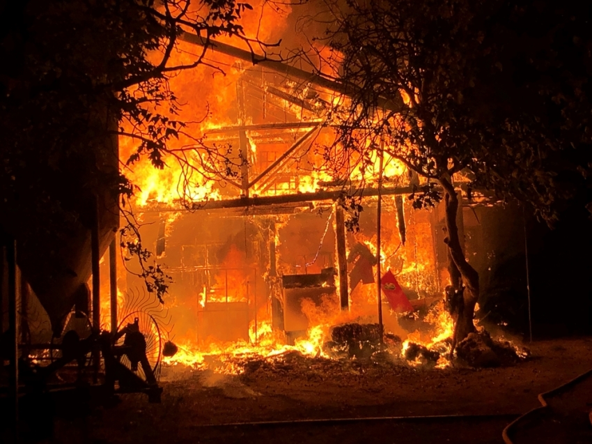 Bursa'da samanlıkta büyük yangın: 5 Büyükbaş hayvan telef oldu