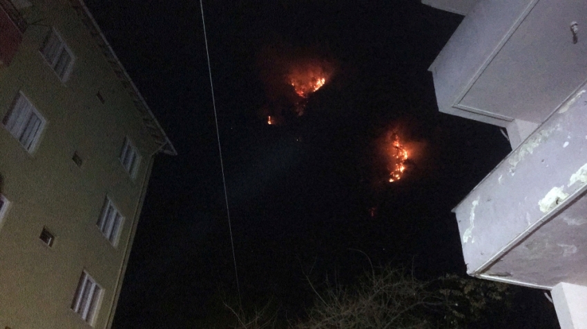 Bartın’daki orman yangınında 7 ev tahliye edildi