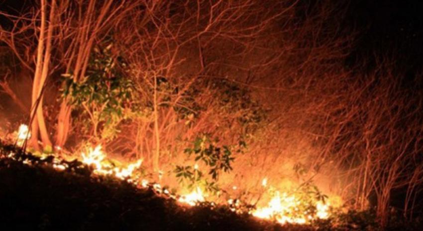 Antalya ve Muğla için yangın uyarısı