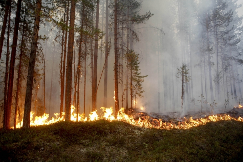 Orman yangınları kontrol altına alınamıyor