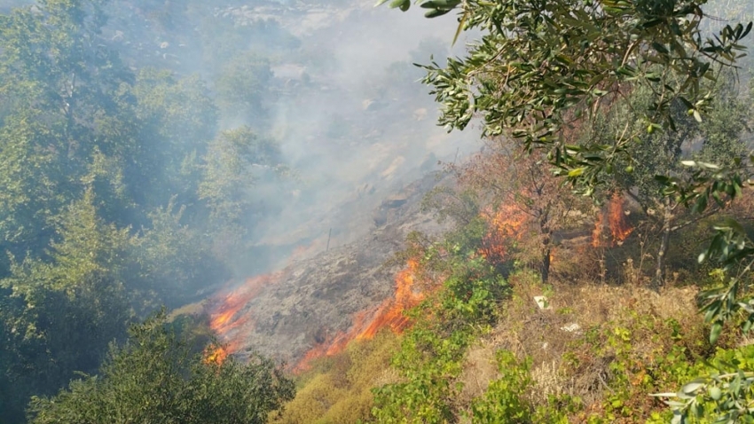 Marmara Adası’nda kontrol altına alınan yangın tekrar başladı