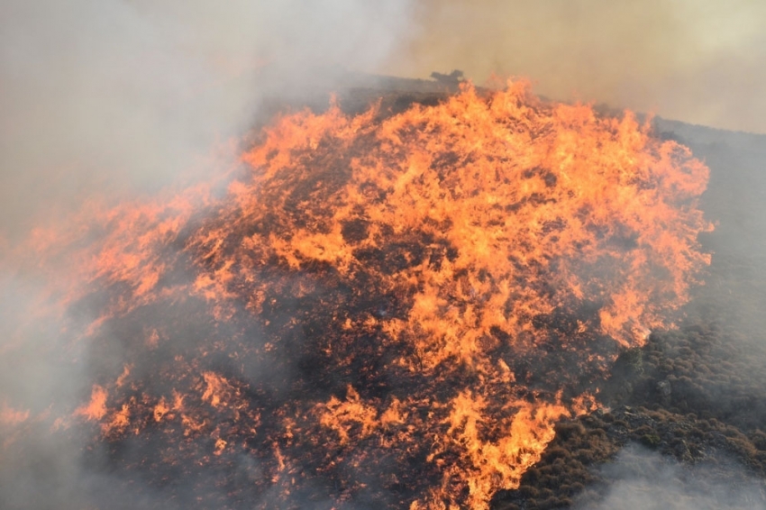 Orman yangınları erken uyarı sistemiyle engellenecek