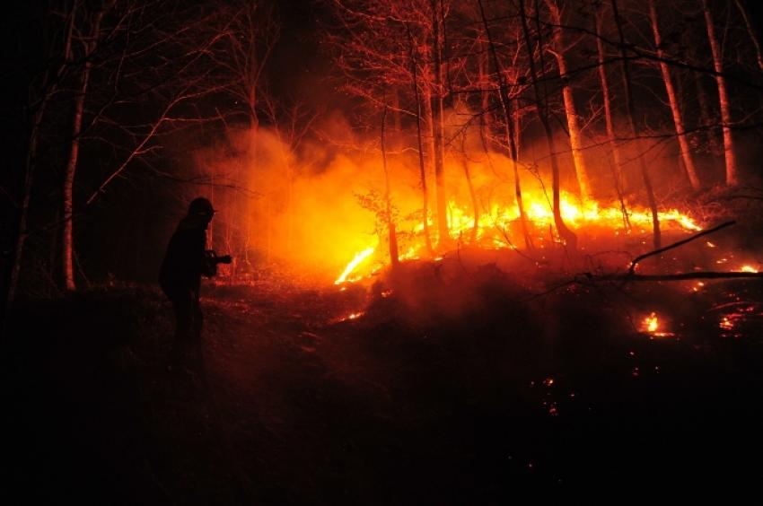 Ormanlık arazide yangın