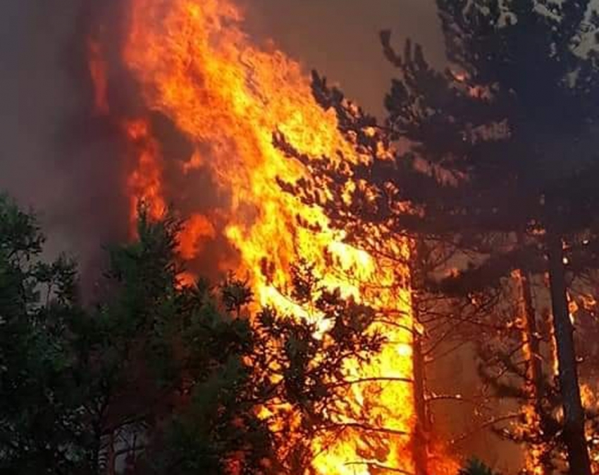 Kütahya’daki orman yangınını söndürme çalışmaları sürüyor