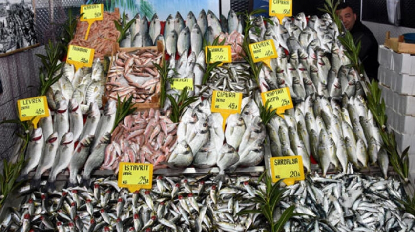Bursa'da balık popülasyonu tehlikede