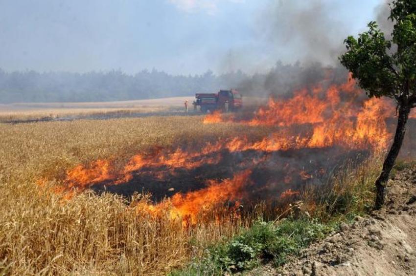 Tarım arazisindeki çıkan yangın ormanı da yaktı